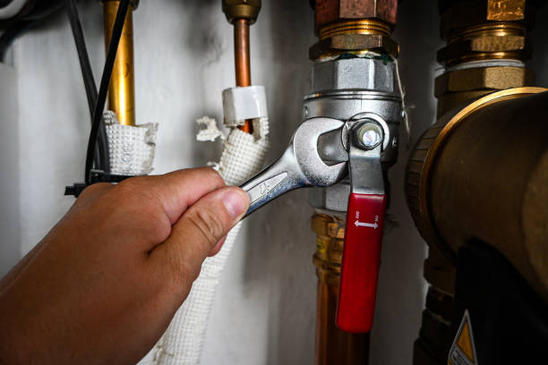 Best Clogged Drain Plumber  in Fallon, NV